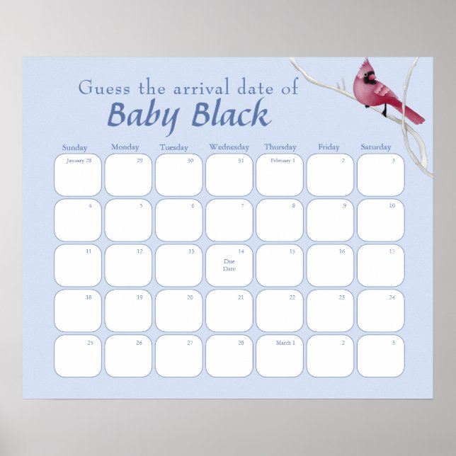 Affiche Blue Cardinal Bird Baby shower Devinez La Date D'É (Devant)