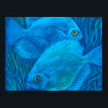 Affiche Blue Discussions, Poisson Tropical Art Animal Sous<br><div class="desc">Blue Discuses - deux poissons tropicaux qui se cachent dans une algue au fond de la mer. Art sous-marin,  peinture pastel,  tons bleu et turquoise. © Clipso-Callipso / Julia Khoroshikh,  2015 #clipsocallipso #underwater #bluefish #tropicalfish #discus #underwaterart #nautical #pastelpaint #softpastels #seacreatures #coraldwellers www.clipsocallipso.art facebook.com/clipsocallipso instagram.com/clipso_callipso/ twitter.com/clipsocallipso linktr.ee/clipso_callipso</div>