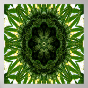 Affiche Blue Dream Mandala...