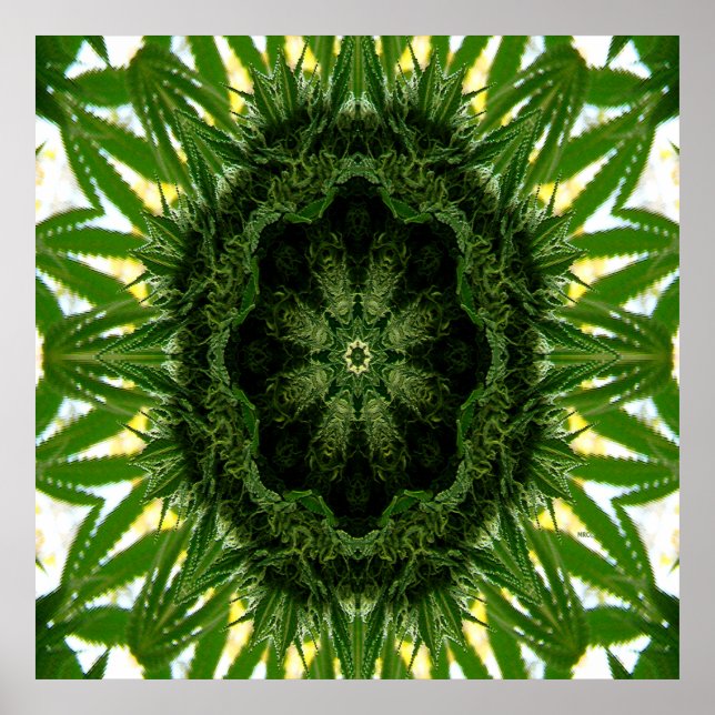 Affiche Blue Dream Mandala... (Devant)