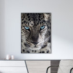 Affiche Blue Eyed Leopard<br><div class="desc">La belle photo léopard aux yeux bleus est un grand cadeau pour les amoureux des animaux.</div>