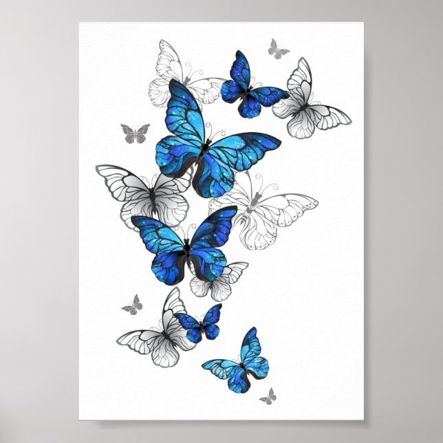 Affiche Blue Flying Butterflies Morpho (Devant)