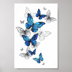 Affiche Blue Flying Butterflies Morpho