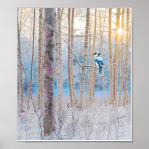 Affiche Blue Grey Blue Jay Oiseaux Forêt Arbres Art