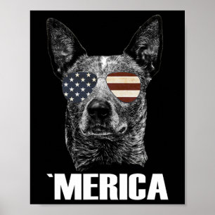 Affiche Blue Heeler chien du 14 juillet Mérica Patriotique