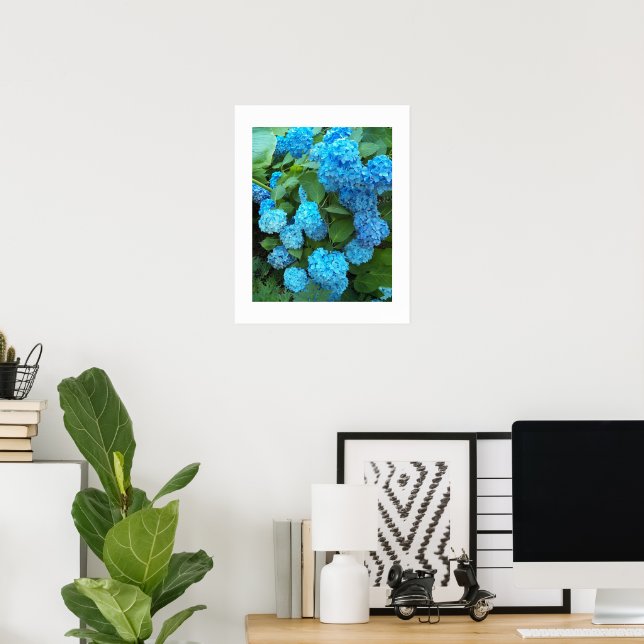Affiche Blue Hydrangea Blooms Floral Photographic (Bureau à domicile)