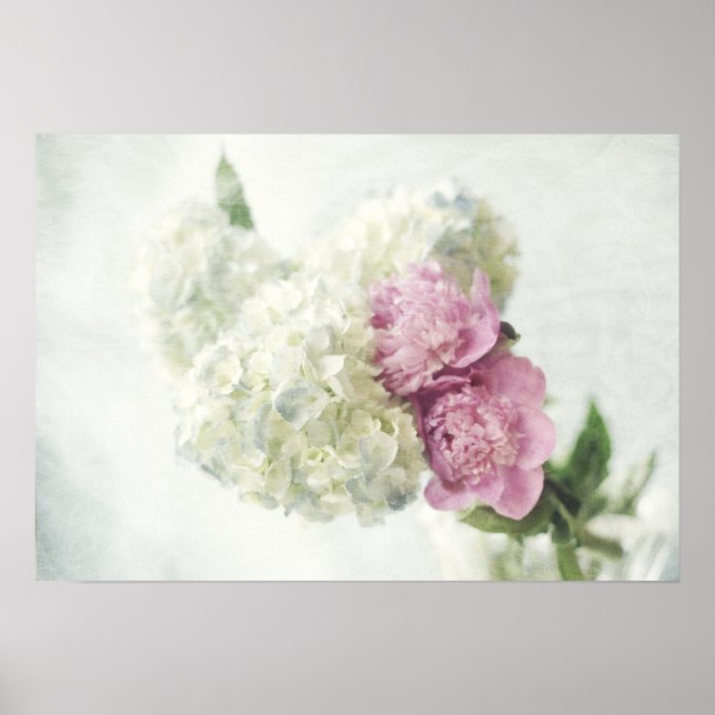 Affiche Blue Hydrangea et Pony rose Imprimer (Devant)