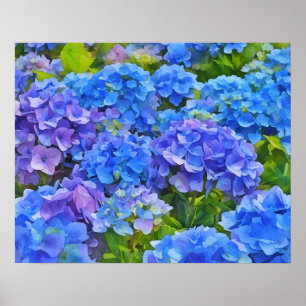 Affiche Blue Hydrangea Fleurs Floral Aquarelle Style Art