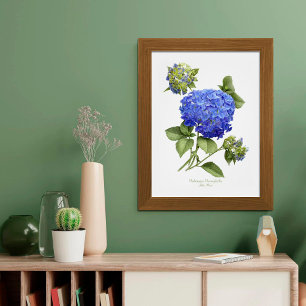 Affiche Blue Hydrangea Original Art Print