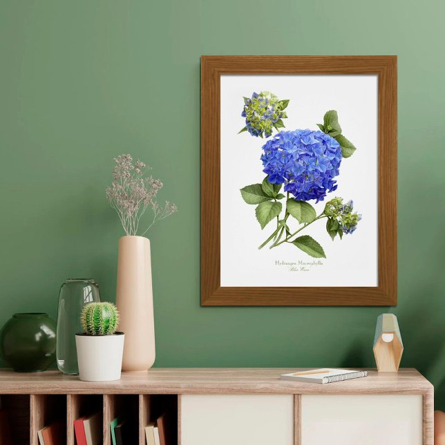 Affiche Blue Hydrangea Original Art Print (Créateur téléchargé)