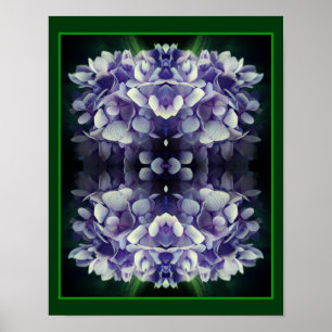 Affiche Blue Hydrangea Petals Gros plan Abstrait