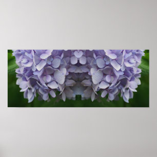 Affiche Blue Hydrangea Petals Miroir Abstrait
