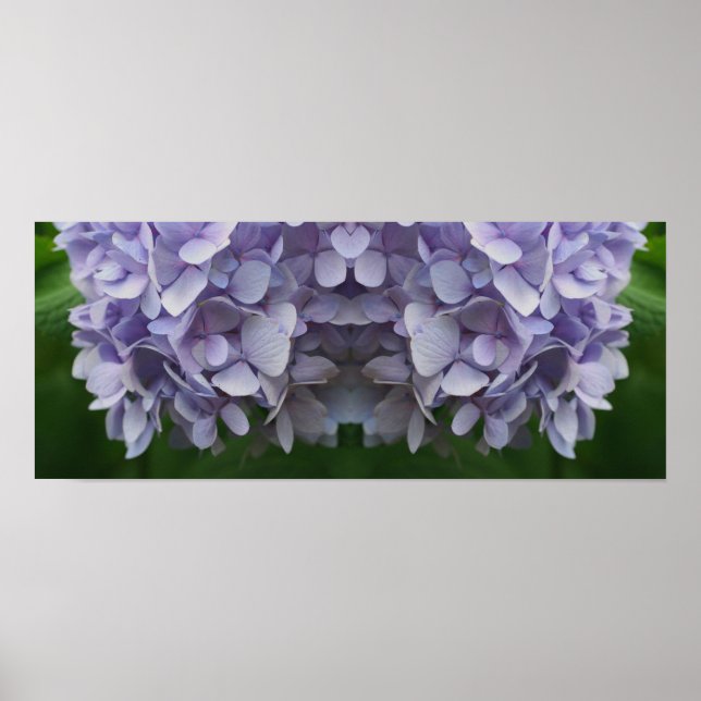 Affiche Blue Hydrangea Petals Miroir Abstrait (Devant)