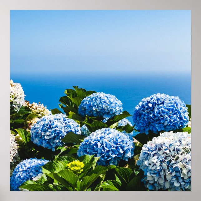 Affiche Blue Hydrangea sur l'océan dégradé Puzzle (Devant)