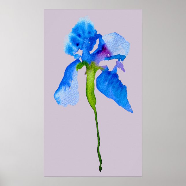 Affiche Blue Iris moderne aquarelle florale art (Devant)