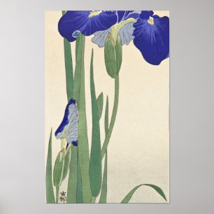 Affiche Blue Irises (1900 - 1930) par Ohara Koson