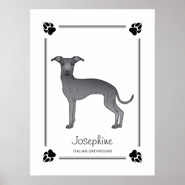 Affiche Blue Italian Greyhound Avec Patrouilles Et Texte P (Devant)