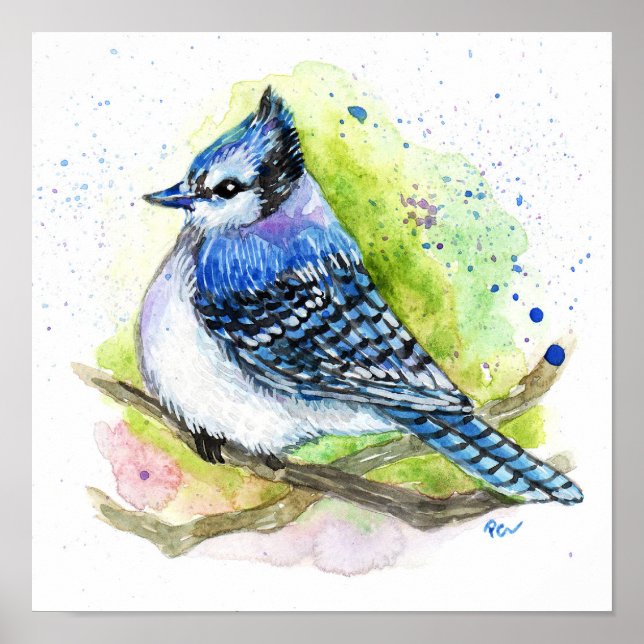 Affiche Blue Jay (Devant)