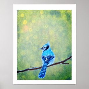 Affiche Blue Jay Bird