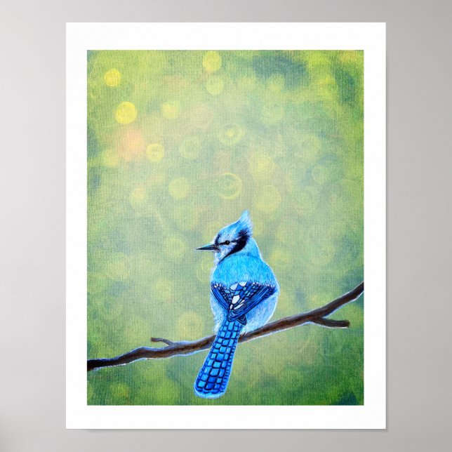 Affiche Blue Jay Bird (Devant)