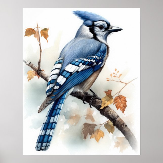 Affiche Blue Jay Bird Art Imprimer l'affiche (Devant)