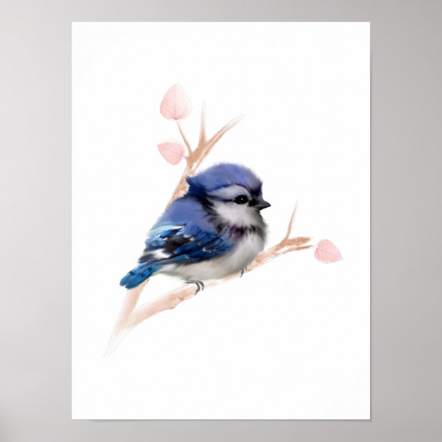Affiche Blue Jay Bird Imprimer (Devant)