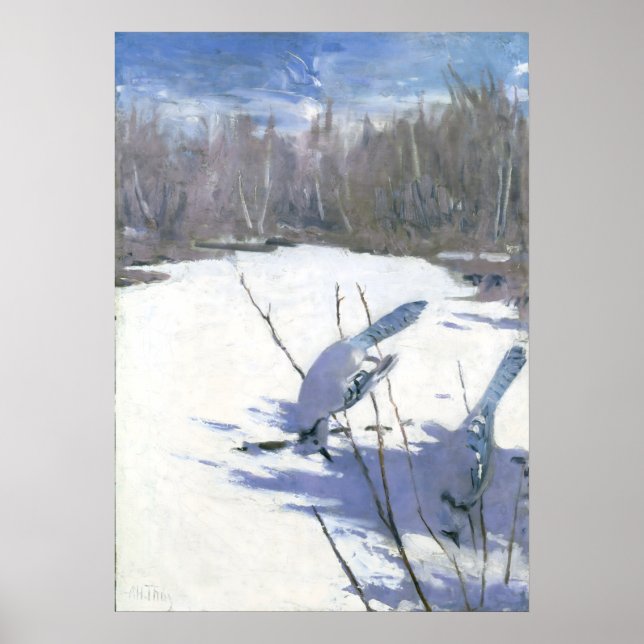 Affiche Blue Jays in Winter par Abbott Handerson Thayer (Devant)