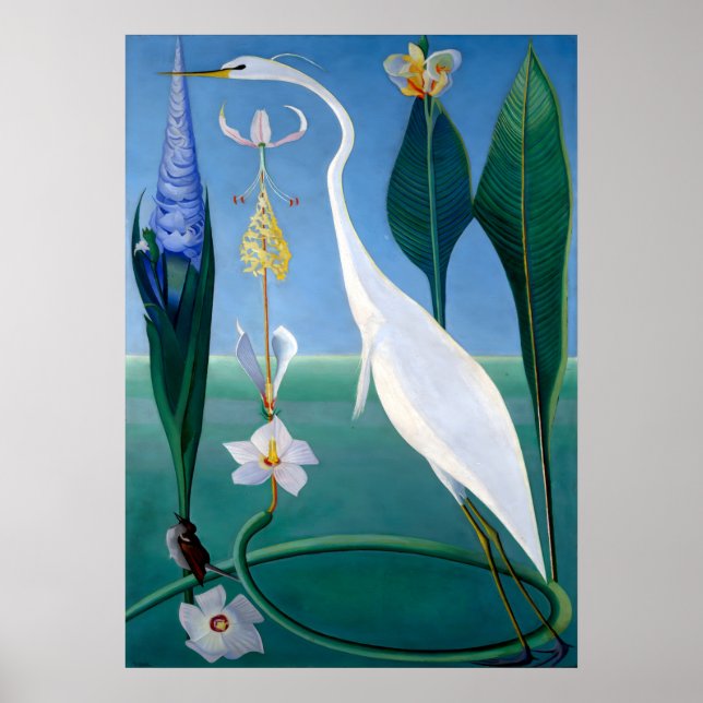 Affiche Blue Jays in Winter par Abbott Handerson Thayer (Devant)