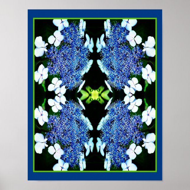 Affiche Blue Lacecap Hydrangea Fleur Fermer Abstrait (Devant)