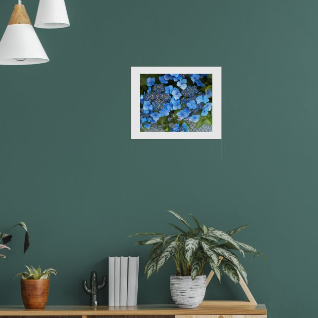 Affiche Blue Lacecap Hydrangea Floral Photographie (Salon 1)