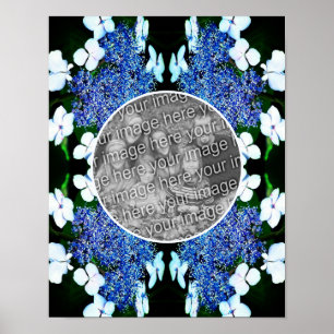 Affiche Blue Lacecap Hydrangea Flower Frame Ajouter Votre