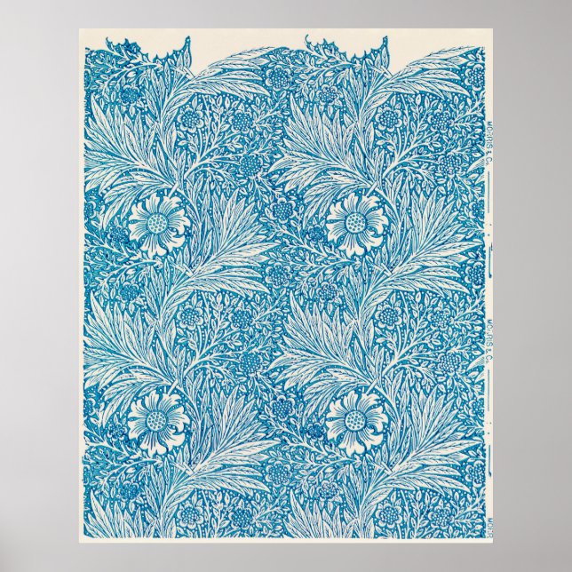 Affiche Blue Marigold (Devant)