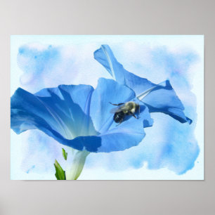 Affiche Blue Morning Glory and Bumblebee