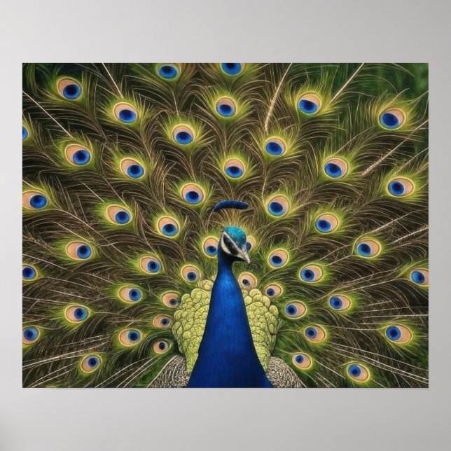 Affiche Blue Peacock (Devant)