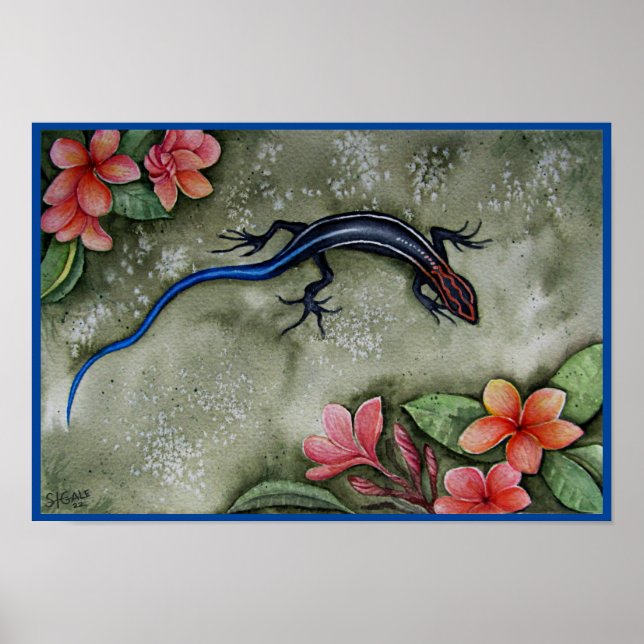 Affiche Blue Racer Skink (Devant)