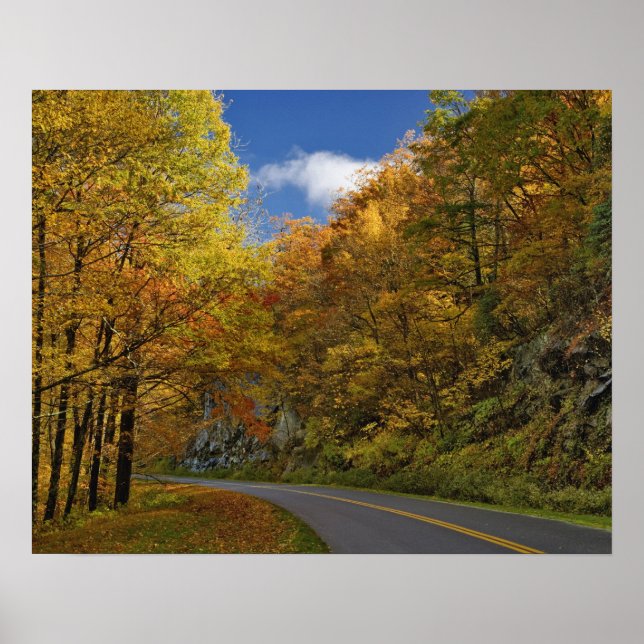Affiche Blue Ridge Parkway sinuant à travers les couleurs  (Devant)