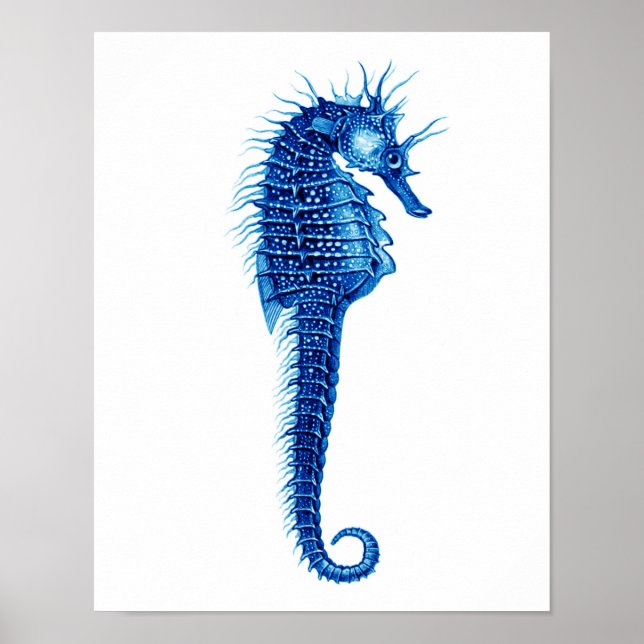 Affiche Blue Seahorse Art Imprimer n° 1 Beach Wall Art Dec (Devant)
