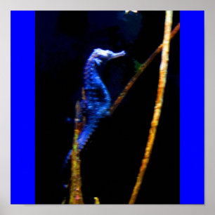 Affiche Blue Seahorse CB
