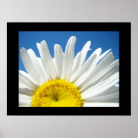 Blue Sky Floral estampes blanc Fleur marguerite