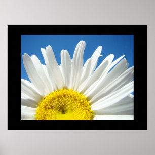 Affiche Blue Sky Floral estampes blanc Fleur marguerite