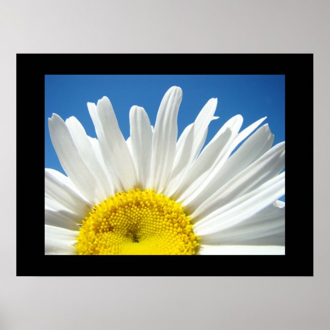 Affiche Blue Sky Floral estampes blanc Fleur marguerite (Devant)