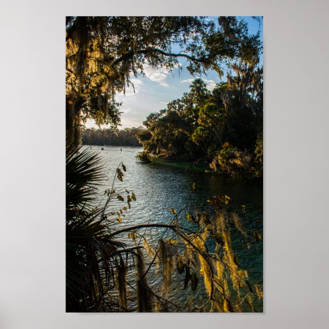 Affiche Blue Springs State Park, Floride (Devant)