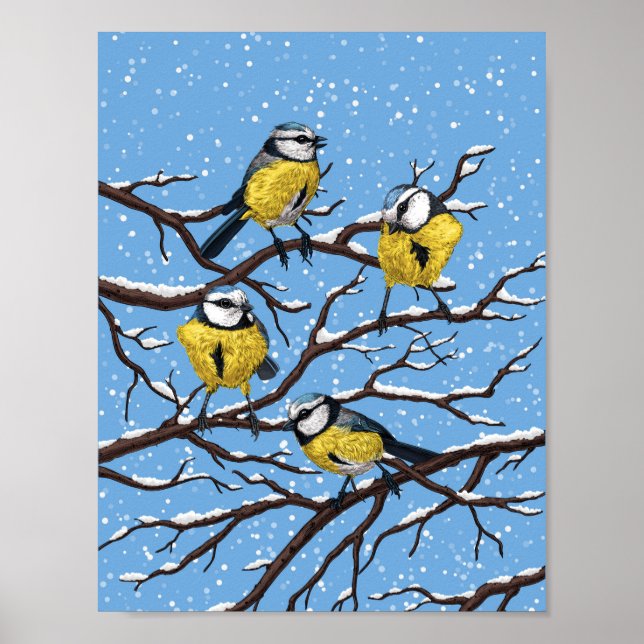 Affiche Blue tit birds en hiver (Devant)