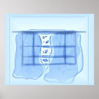 Affiche Blue window.
