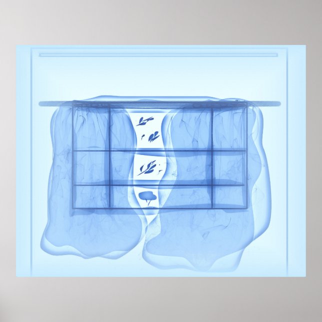 Affiche Blue window. (Devant)