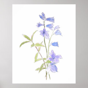 Affiche bluebell et violet en aquarelle