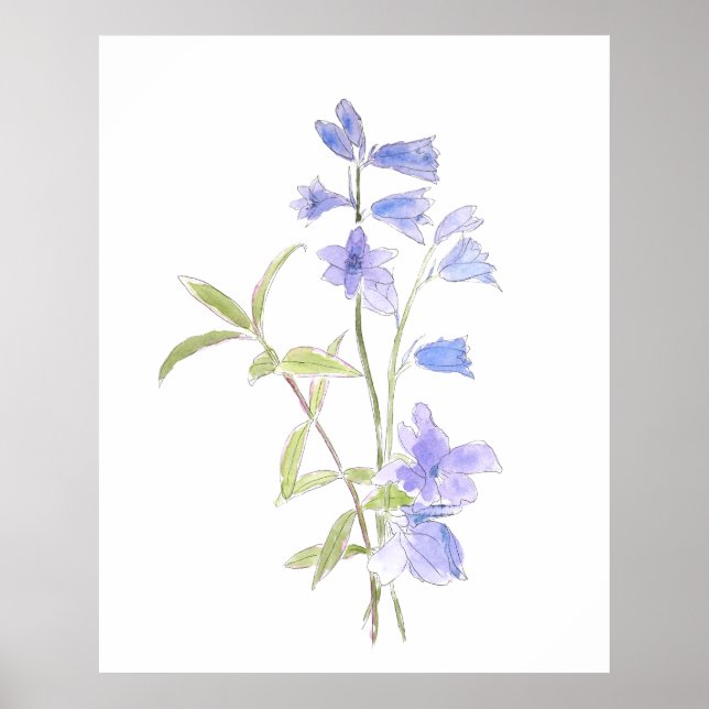 Affiche bluebell et violet en aquarelle (Devant)