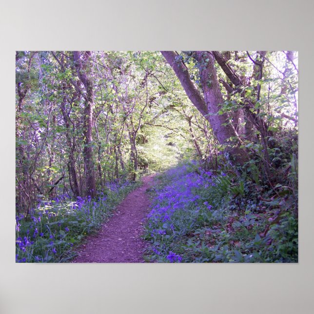 Affiche Bluebell Woods Print (Devant)