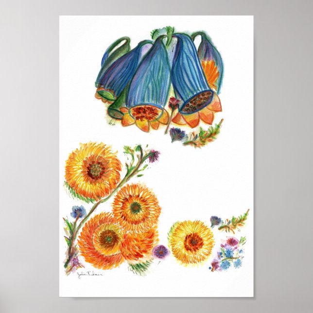 Affiche Bluebells (Devant)