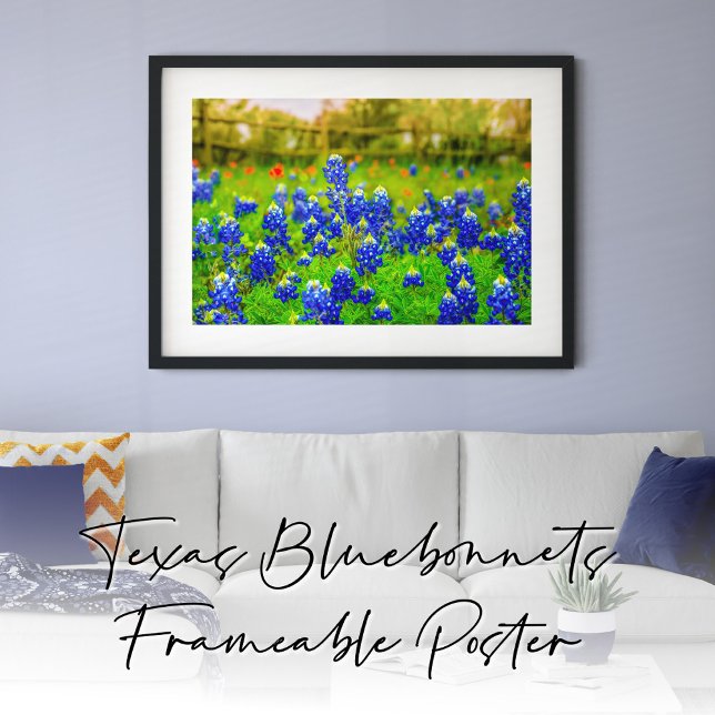 Affiche Bluebonnets de Texas Rustic Blue Fleurs sauvages (Texas Bluebonnets Frameable Poster)
